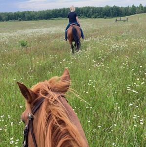 Meet your Posher, Dani